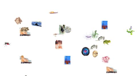 More Than Human Chart Future Assembly